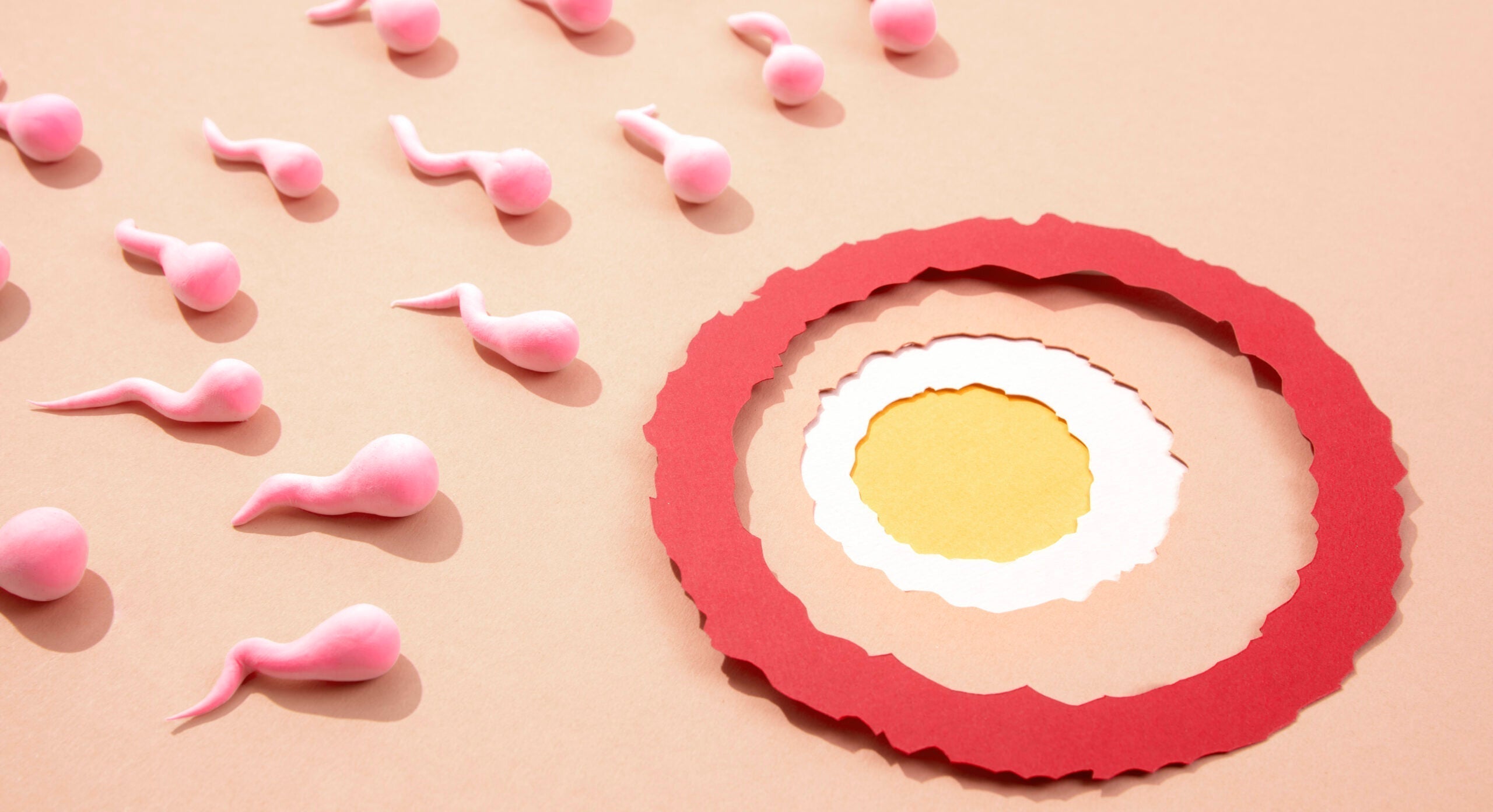 Prævention efter fødsel: Hvad skal jeg vælge?