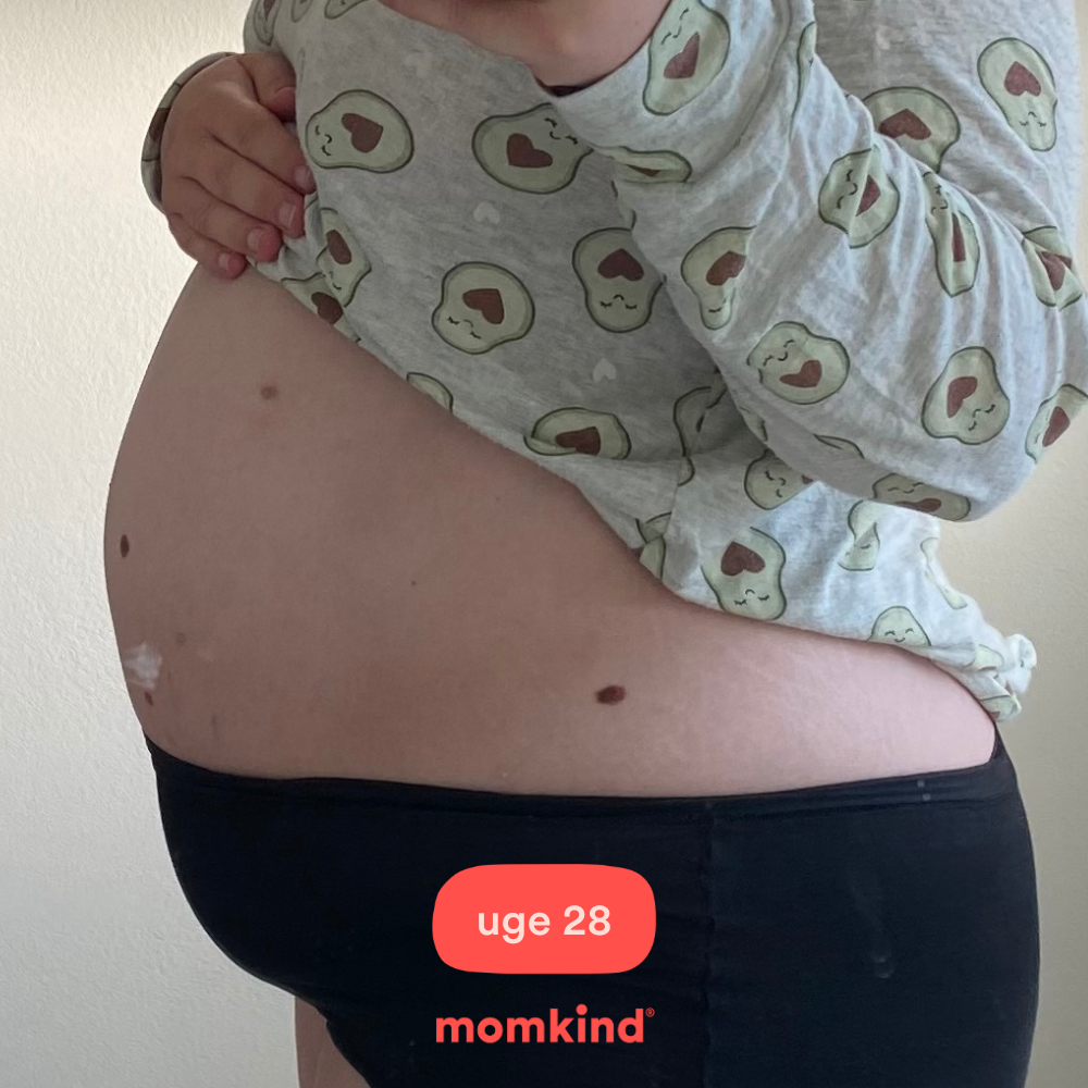 gravid uge 28 billeder