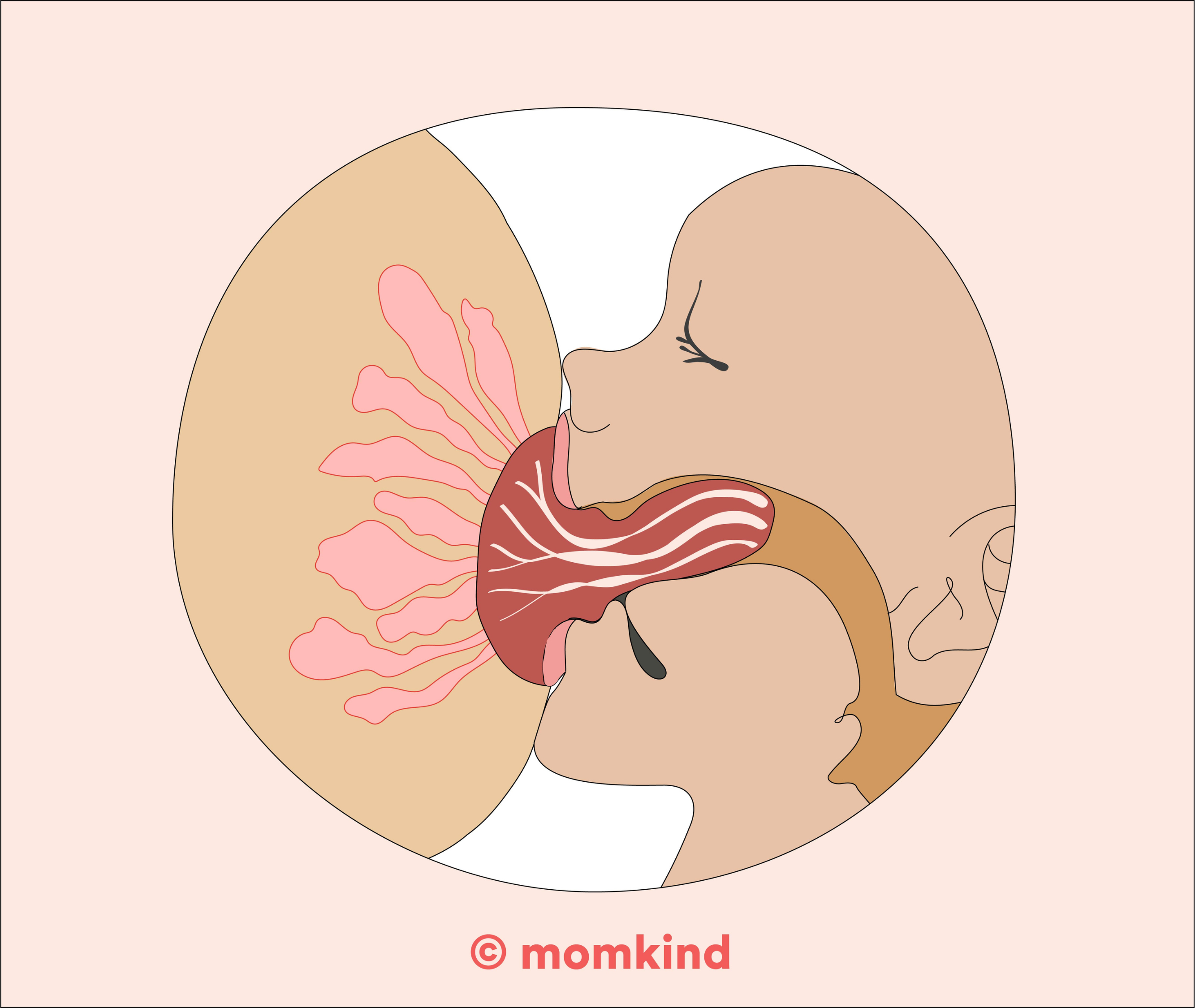 sutteteknik amning illustration baby med brystvorte langt inde i munden