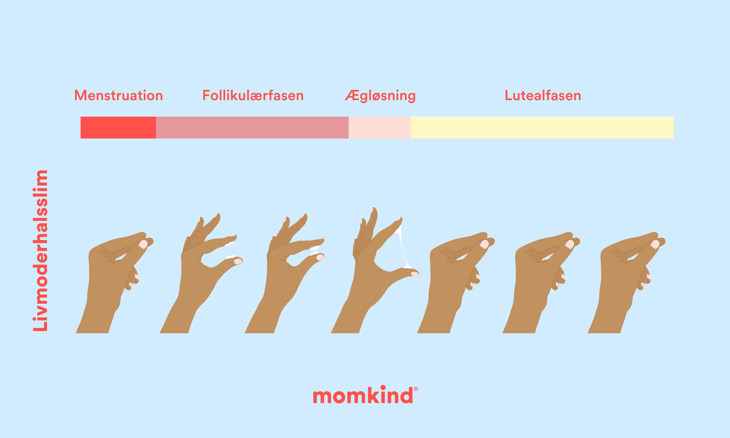 tegn på mens hænder der viser udflåd og livmoderhalsslim