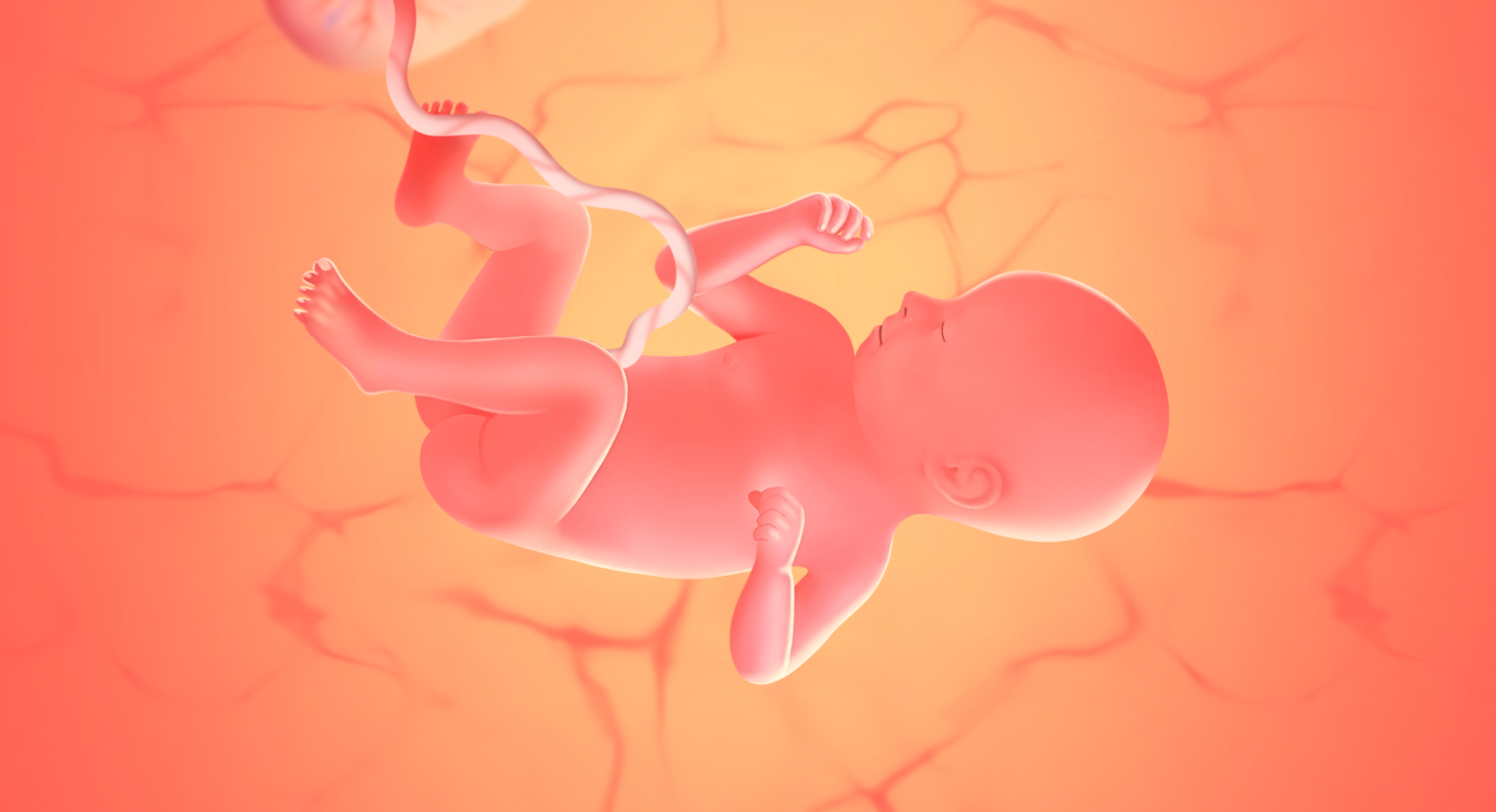 Gravid uge 40 (39+0 - 39+6)