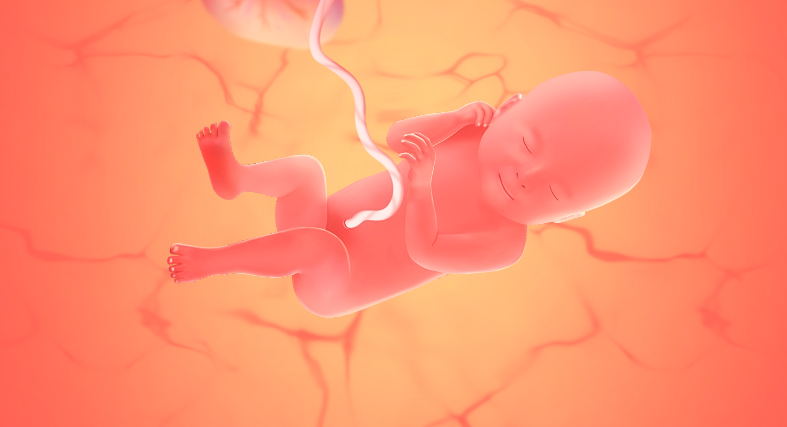 Gravid uge 43 (42+0- 42+6)