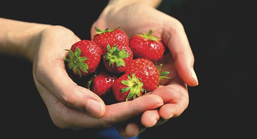 Jordbær og amning: Må jeg spise jordbær når jeg ammer?