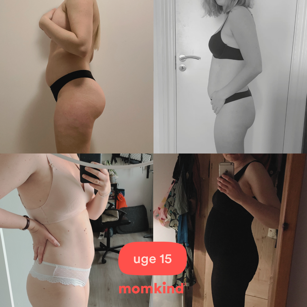 gravid uge 15 mavebilleder