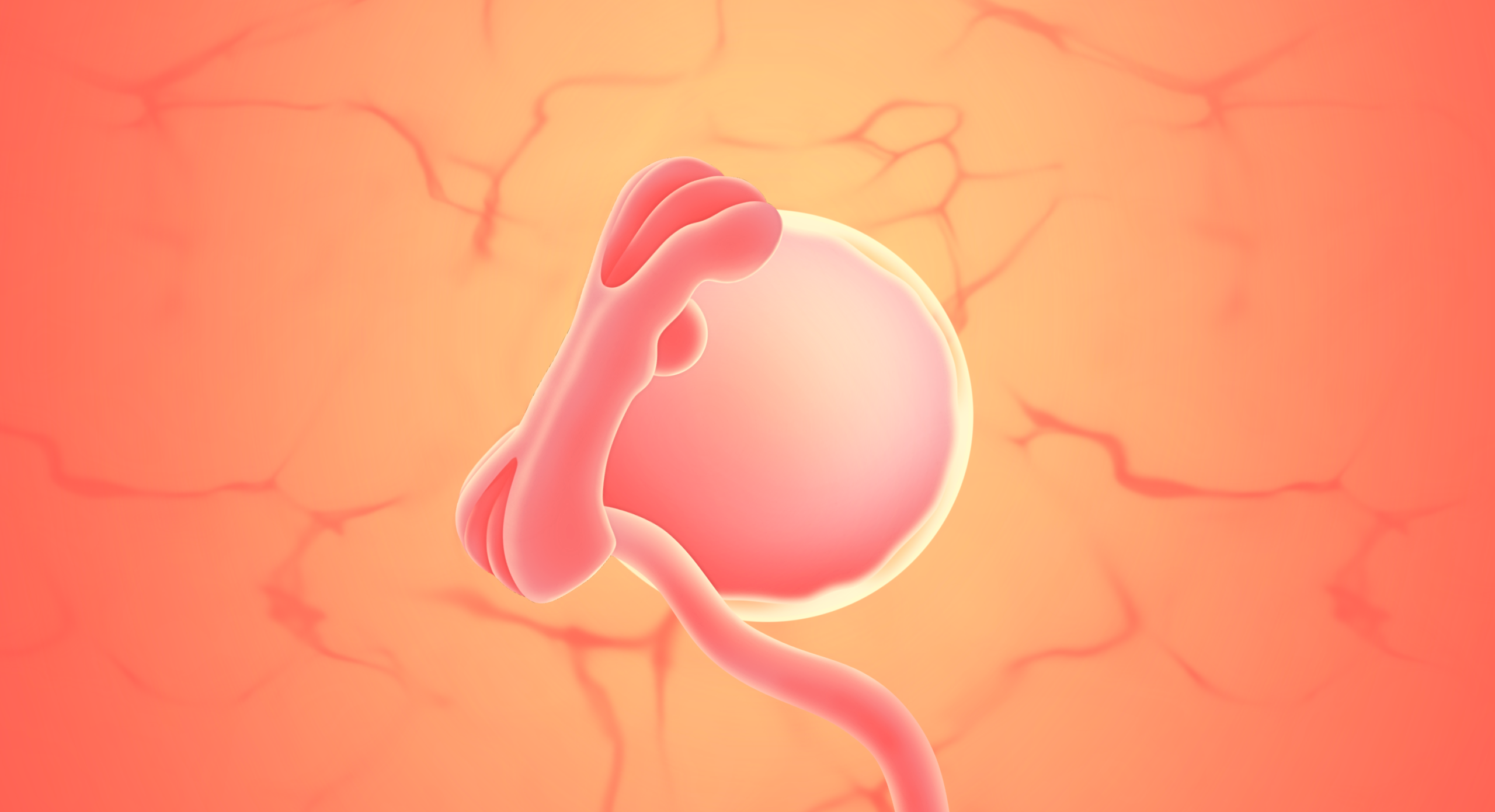 gravid uge 5