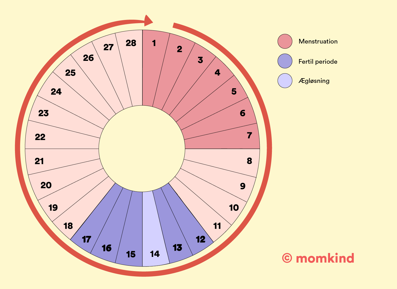 menstruationscyklus hjul med rund pil 